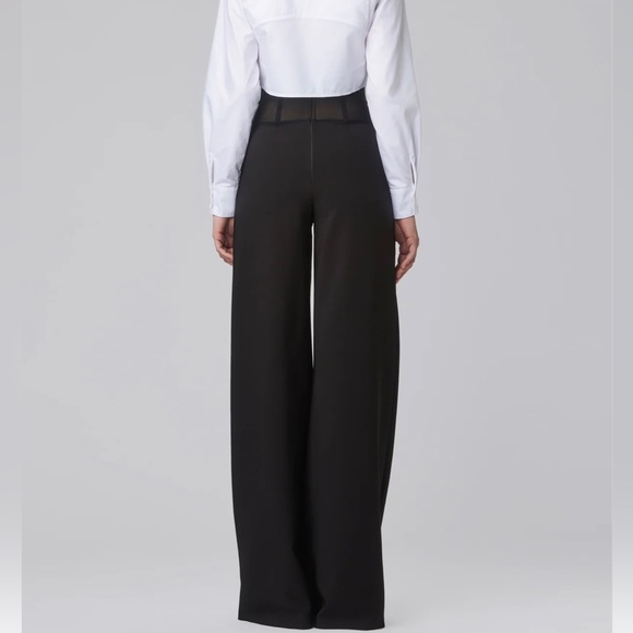 Murmur Sheer Waist Corset Pants Mesh FRAME TROUSERS palazzo wide leg boning mur - Picture 7 of 16